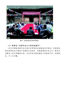 川媒电子商务专业学什么