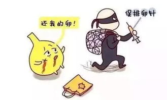 悲剧！女硕士被假复旦博士骗情骗财，还骗取卵子，令人唏嘘