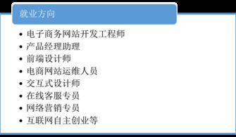 软件工程专业学电子商务