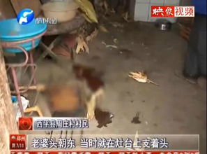 惨案震惊！砍死祖孙三代凶手竟称长期服用精神病药物