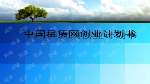 电子商务专业创业计划书