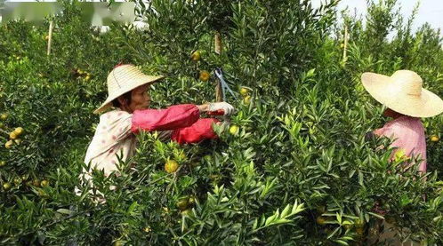 万斯：美国没兴趣与伊朗发生长期冲突