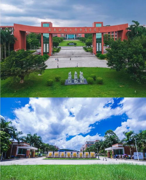 华商学院电子商务专业