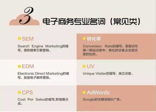 中专生有电子商务专业吗